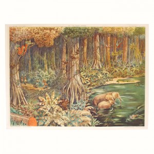 Affiche scolaire La forêt vierge - La toundra 1